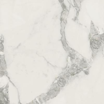 COLISEUM 610010002749 МИКЕЛАНДЖЕЛО КОЛД 60 РЕТ / MICHELANGELO COLD 60 RET 60X60 9MM COLISEUMGRES / ITALON Керамогранит