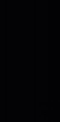 LAMINAM COLLECTION NERO ASSOLUTO LAMF008281_IT ПЛИТКА LAMINAM 12+ 1620X3240ММ H=12ММ