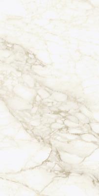 COLISEUM 610010002745 МИКЕЛАНДЖЕЛО ВОРМ 60X120 РЕТ / MICHELANGELO WARM 60X120 RET 9MM COLISEUMGRES / ITALON Керамогранит