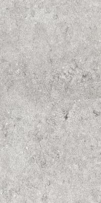 CITY by REFIN RH66 NUOVA ARDENNE ARGENTO R.60x120 Керамогранит