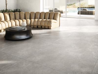 REFIN RB92 COQUILLE GRIS MATT-PRO 60X120 Плитка